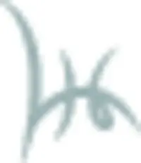 CHAMPAGNE LOUIS HUOT