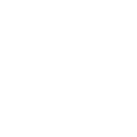 CHAMPAGNE VENDéMIAIRE AN XIII